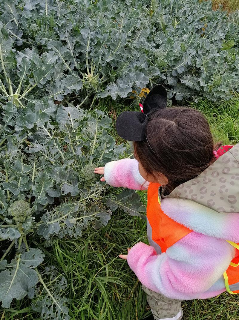 Anaokulu Çağı (3-6 yaş) Çocuklarda Beslenme